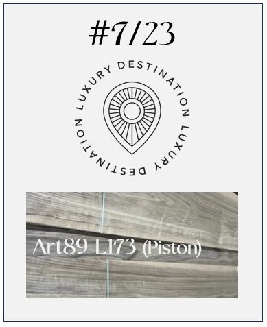 DL # 7/23 Art89 L173 (Piston)