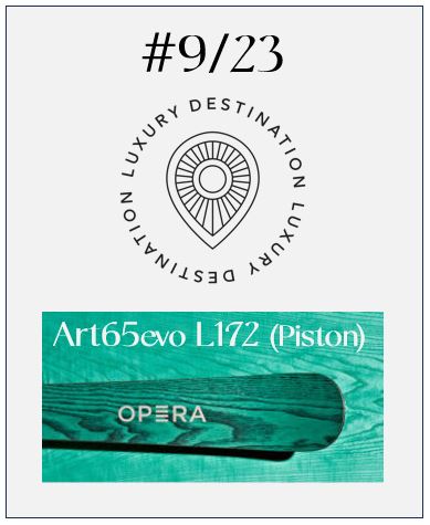 DL # 9/23 Art65evo L172 (Piston)
